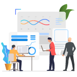 audit execution