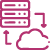 Drives Data-Backed Decisions